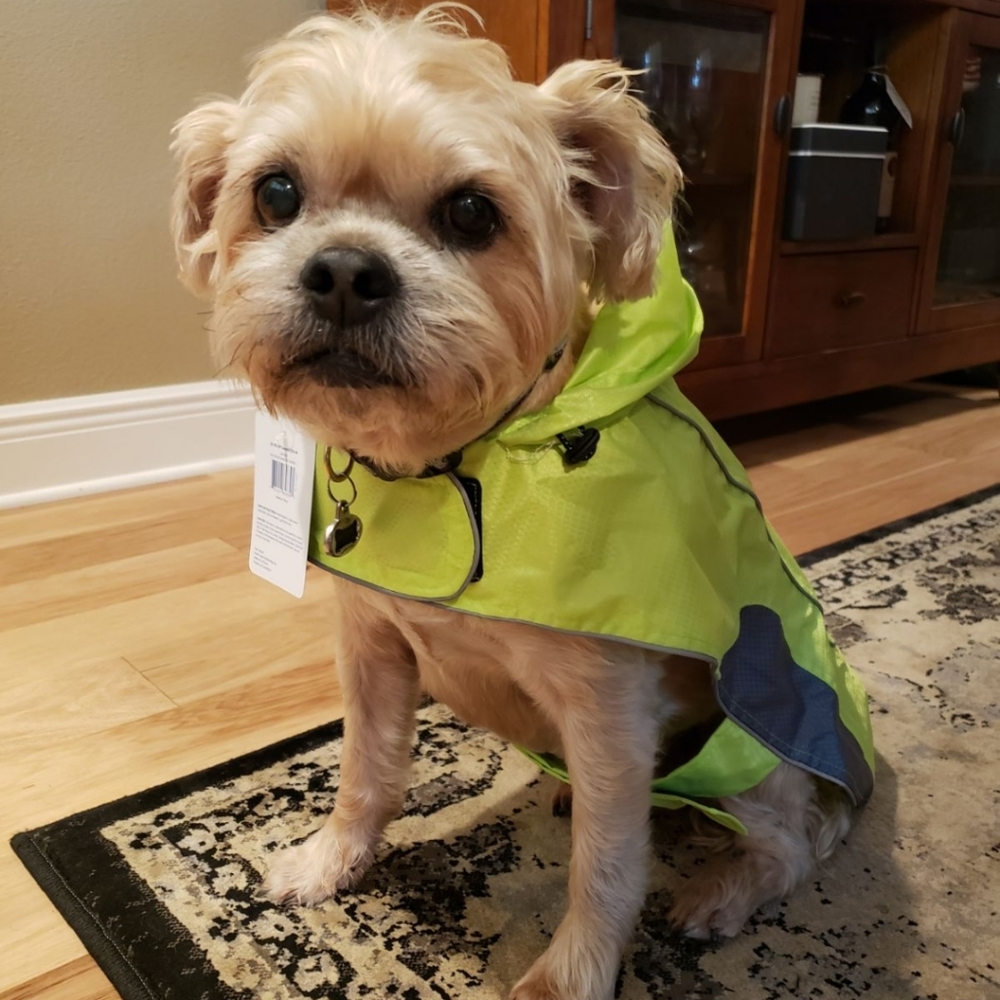❤️😍 Host Pick! 🐕❤️  Rain Jacket With Reflective Accents L - Picture 5 of 12